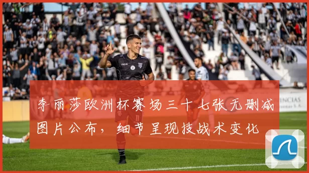 李丽莎欧洲杯赛场三十七张无删减图片公布，细节呈现技战术变化