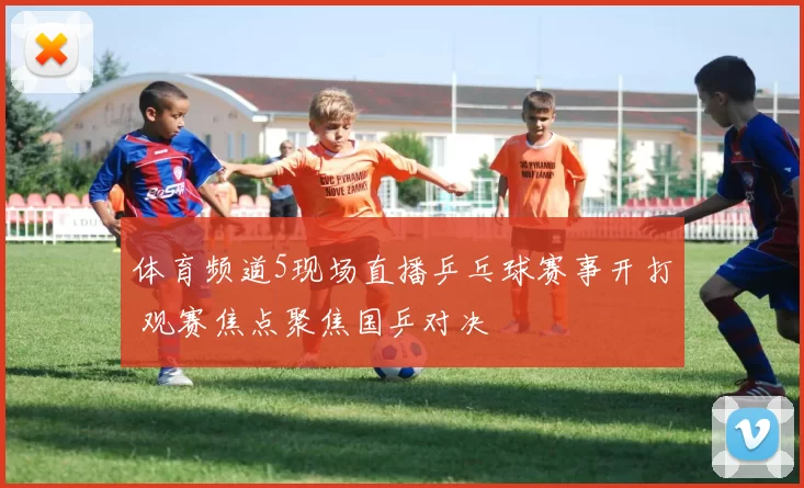 体育频道5现场直播乒乓球赛事开打 观赛焦点聚焦国乒对决